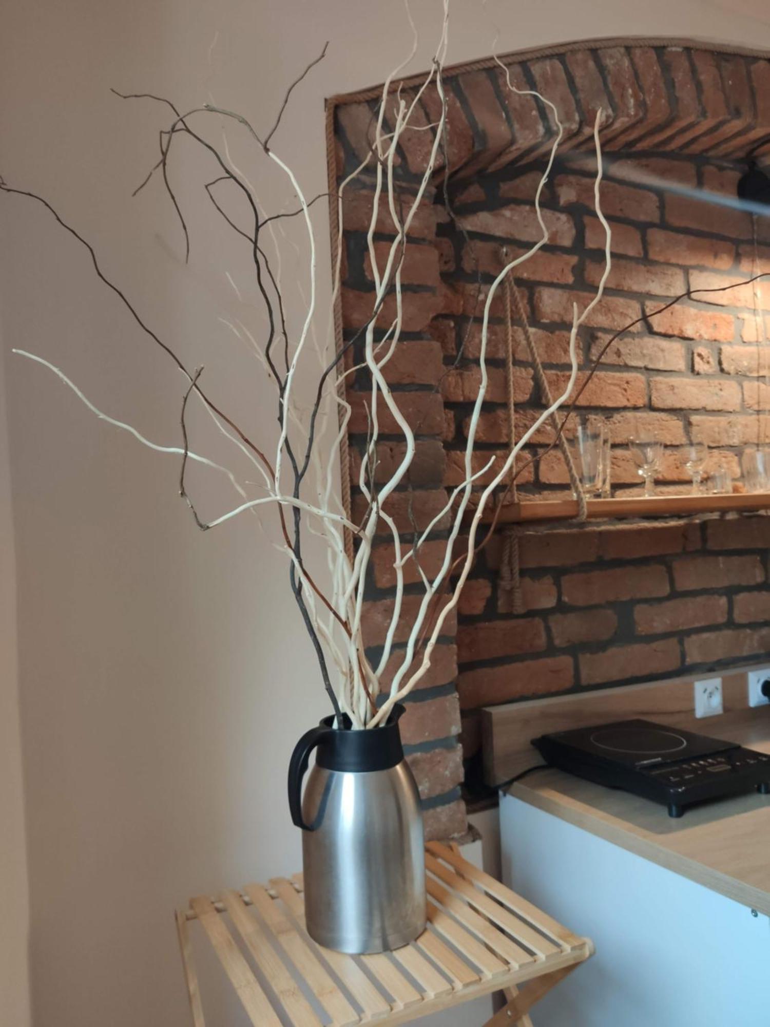 Apartamenty I Pokoje Goscinne "Wacus" Srebrna Góra Dış mekan fotoğraf